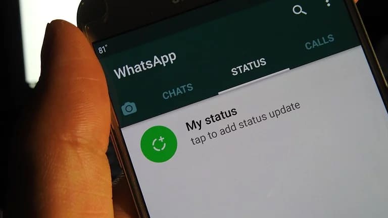 Cara Download Status WhatsApp (Dengan / Tanpa Aplikasi)