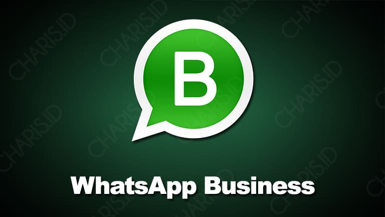 cara menggunakan 2 whatsapp dengan wa bisnis
