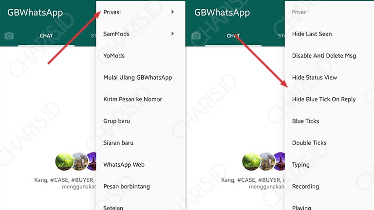 fitur privasi whatsapp mod