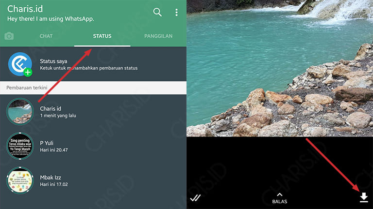 cara download video di status whatsapp