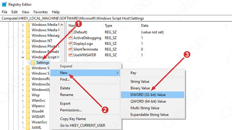 windows script host